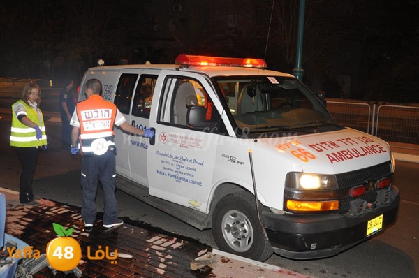 acc 7eshmona2em palmtree (13).JPG